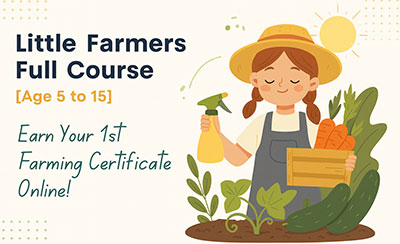 Little Farmers Online Course | Farming Lessons for Kids