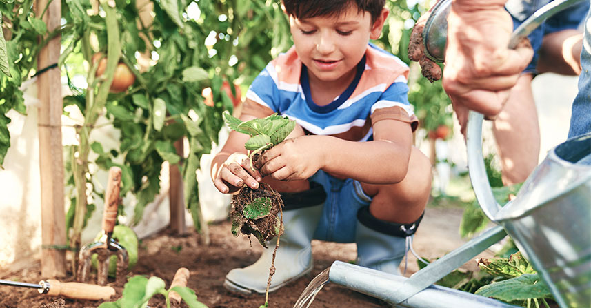From Seed to Plate: What a Food Scientist Actually Does