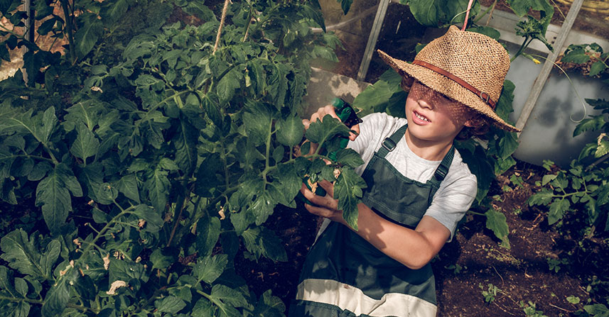 Mindfulness Among the Greens: How Farming Calms an Active Mind