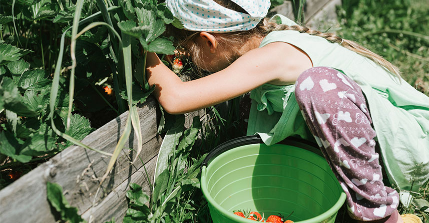 Going Green at Home: Easy Sustainable Tips for Families