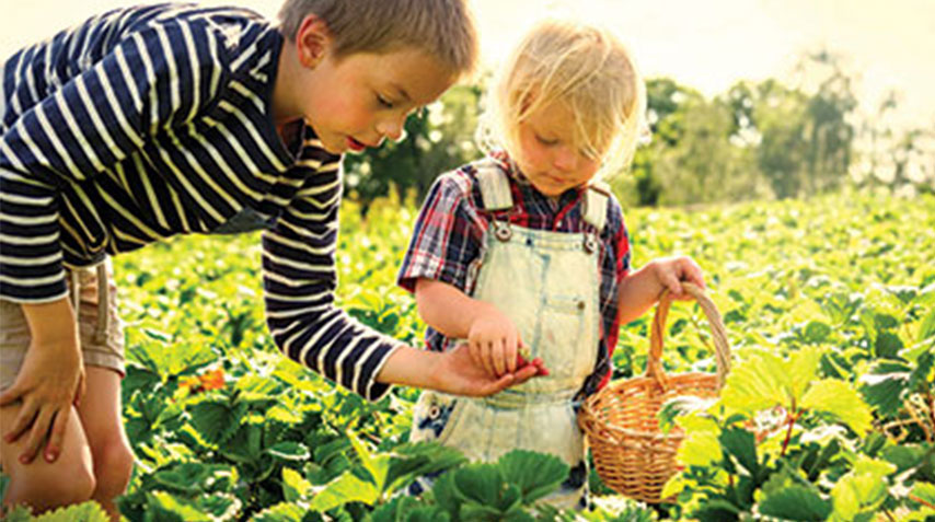 Parent & Child Farming Challenges: Grow a Plant Together